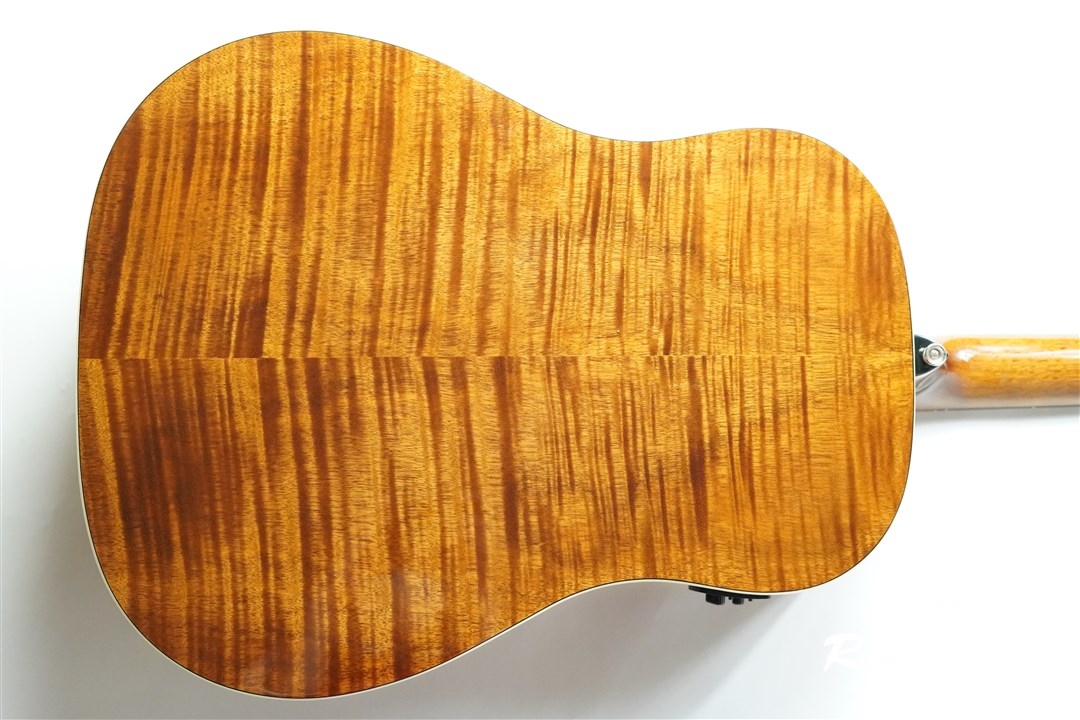 Morris G-021E - VYL | Red Guitars Online Store